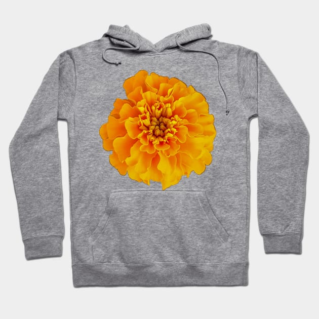 Orange Marigold Nature Floral Photo Hoodie by ellenhenryart